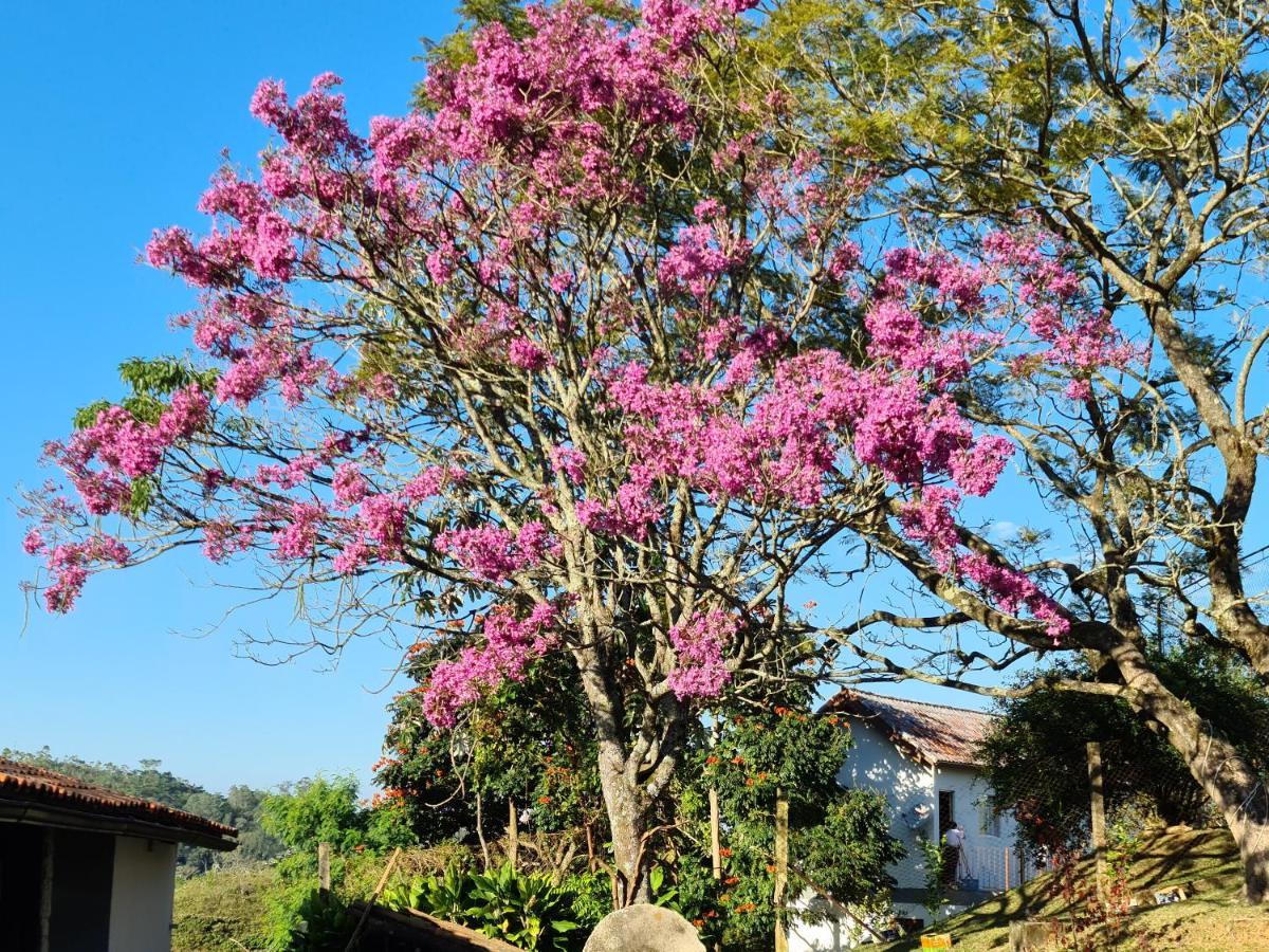 Pousada Nossa Senhora Penedo  Dış mekan fotoğraf Flowering tree