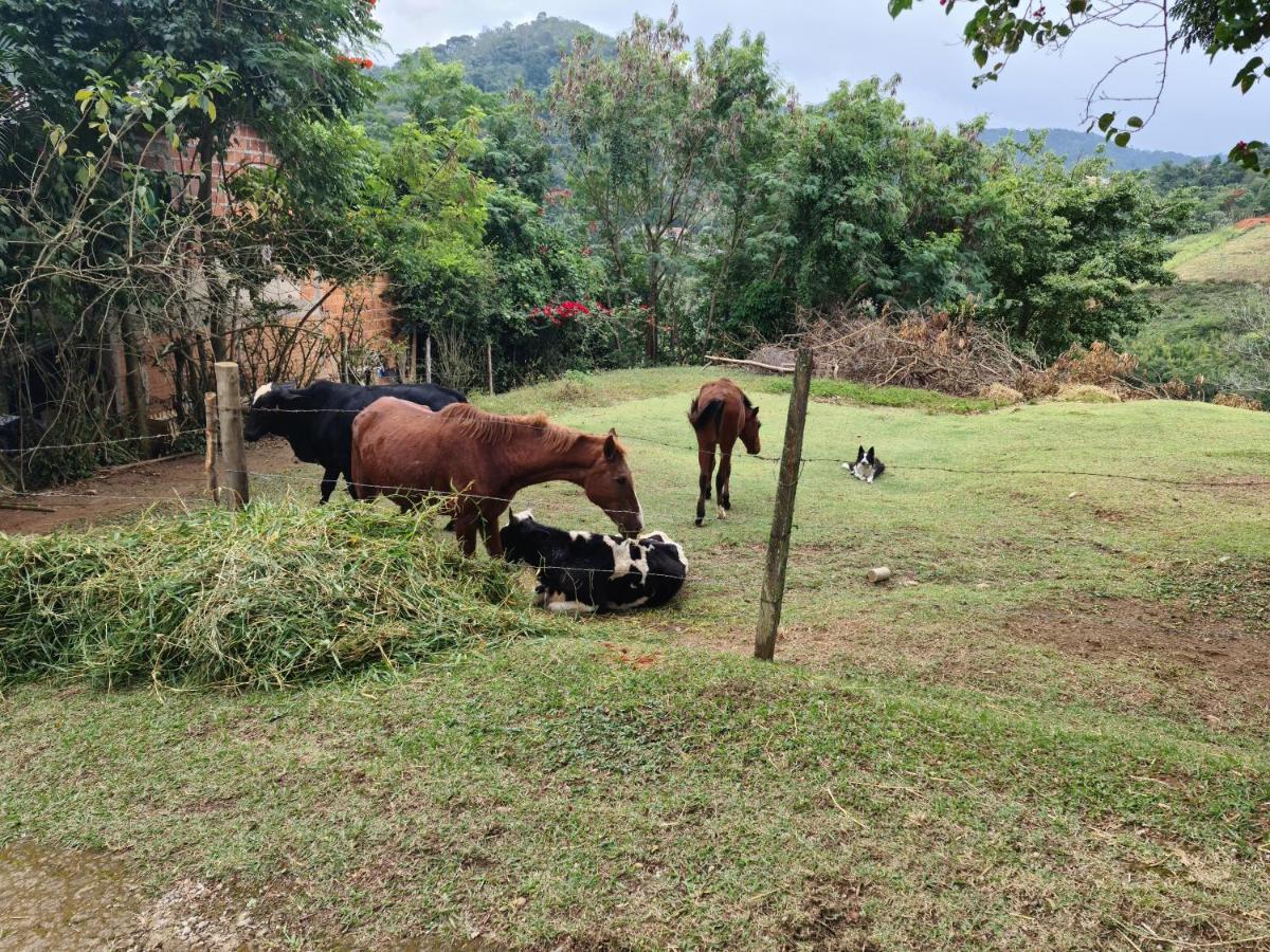 Pousada Nossa Senhora Penedo  Dış mekan fotoğraf Cattle and horses in the countryside of El Salvador